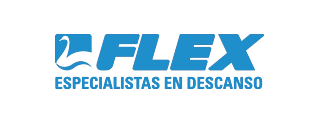 Logo flex azul