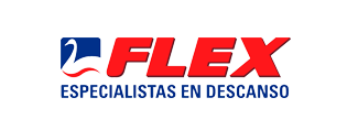 Logo flex