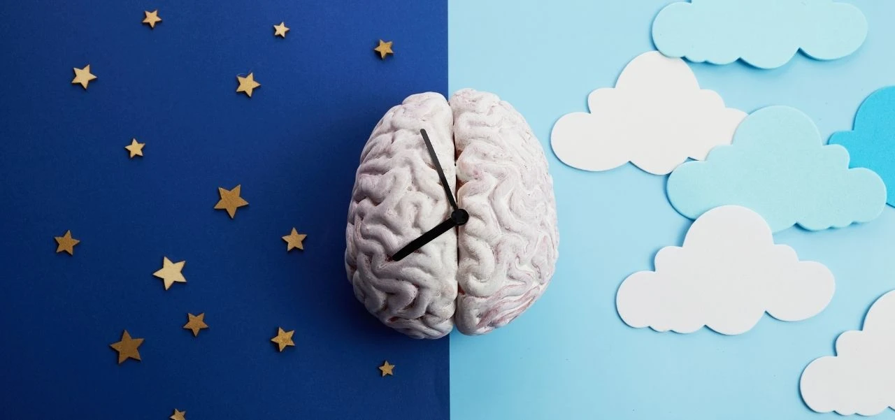 como saber tu ciclo circadiano para dormir mejor